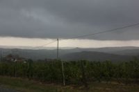 Storm is coming (Brusalino in northern Italy)