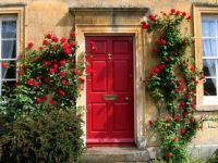 Red Door and roses 