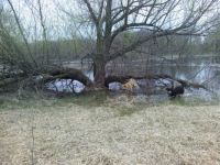 high water