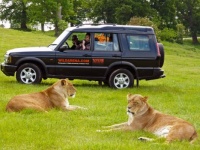 Woburn