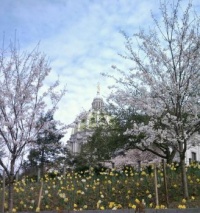 Spring in Harrisburg PA