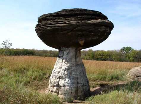 A Kansas Mushroom