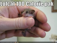 100 calories indeed!
