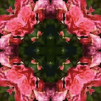 Solve #2 very small jigsaw puzzle online with 25 pieces