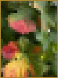 Leaf mosaic