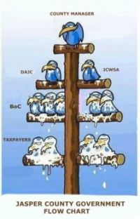Georgia County-flow-chart