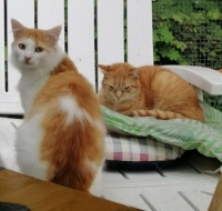 Linus und Leonie