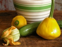 Summer Squash