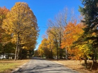 Peak Color - Gold Season