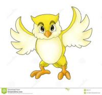 Cartoon-yellow-owl