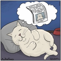 Wobblybear's Fun Stuff (wbfs) - He finally did it (in his dreams) 💤🐈