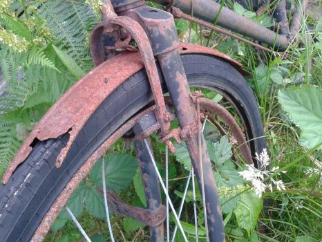 Rusty Bike in the Glen