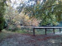 Agostyáni Arborétum 1