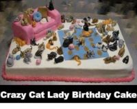 crazy-cat-lady-birthday-cake-4233529