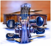 Violin - Musical Instrument