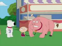 Family Guy Pig