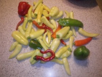 My peck of peppers