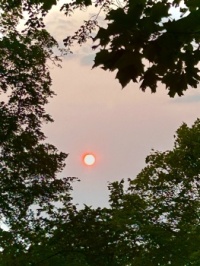 Sun among clouds and trees
