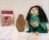 Cat Icon Game #102 - Horatio dresses up for the library's Caturday 5