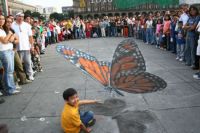 Butterfly - 3D Chalk Art - By Julian Beever