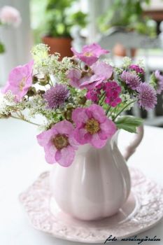 Happiness is : A Beautiful Jug of freshly picked Flowers.