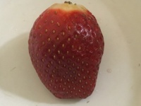 Juicy strawberry (whole)