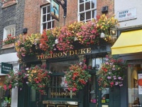 london-traditional-english-pub-london-traditional-english-pub-nicely-decorated-flowers-139334966