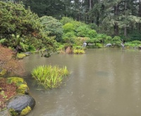 Pondside Serenity (sizes 12 - 598)