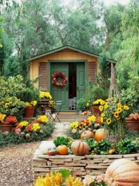 pumpkin garden