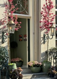Blossoms besides an open door