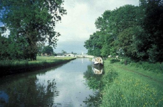 A cruise around The Cheshire Ring, Trent and Mersey Canal (603)