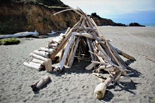 drift wood hut on the beach - 1