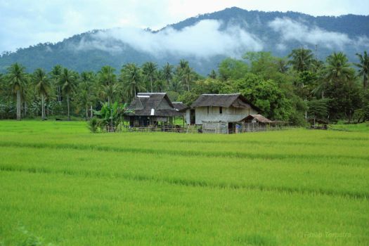 philippine-forest-village-stock-photo-image-of-architecture-139826670