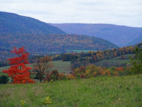 The Endless Mountains of NE PA | 154 pieces jigsaw puzzle