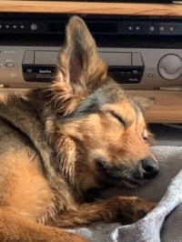 Sleepy