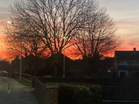 Winter Sunset