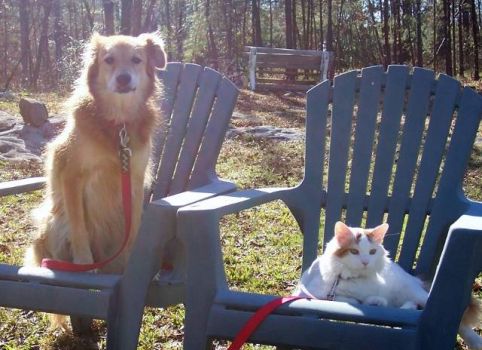 Almost buddies