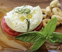 Burrata Cheese