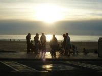 A group of people talking, at the beach