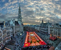 Brussels flower carpet