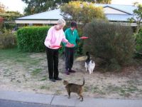 Two of the abandoned cats we used to feed