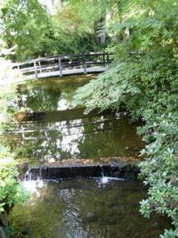 2013-09-19 199-gardens at Egeskov Castle