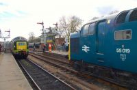 2 Deltic diesel locomotives ~ Bluebell Railway, Sunday 19th April 2015