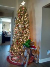 Our Tree