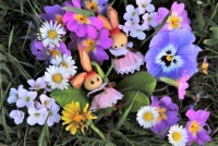 &quot;Hiding the Bunnies&quot;