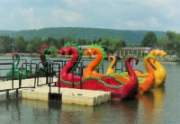 dragon boats