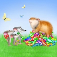 Marmotte et Bonbons