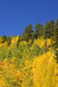 Fall in Colorado Rockies