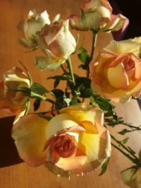 Got some roses for my birthday - about one petal per year