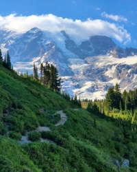 Mount Rainier National Park, Washington, USA